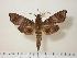  ( - BC-Hax2266)  @14 [ ] Copyright (2010) Unspecified Research Collection of Jean Haxaire