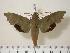  ( - BC-Hax2271)  @14 [ ] Copyright (2010) Unspecified Research Collection of Jean Haxaire