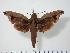  ( - BC-Hax2288)  @14 [ ] Copyright (2010) Unspecified Research Collection of Jean Haxaire
