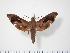  ( - BC-Hax2293)  @14 [ ] Copyright (2010) Unspecified Research Collection of Jean Haxaire