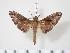  ( - BC-Hax2404)  @14 [ ] Copyright (2010) Unspecified Research Collection of Jean Haxaire
