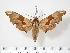  ( - BC-Hax2409)  @14 [ ] Copyright (2010) Unspecified Research Collection of Jean Haxaire