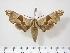  ( - BC-Hax2411)  @15 [ ] Copyright (2010) Unspecified Research Collection of Jean Haxaire