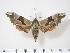  ( - BC-Hax2422)  @14 [ ] Copyright (2010) Unspecified Research Collection of Jean Haxaire