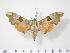  ( - BC-Hax2423)  @14 [ ] Copyright (2010) Unspecified Research Collection of Jean Haxaire