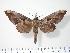  ( - BC-Hax2489)  @14 [ ] Copyright (2010) Unspecified Research Collection of Jean Haxaire