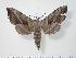  ( - BC-Hax2510)  @13 [ ] Copyright (2010) Unspecified Research Collection of Jean Haxaire