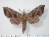  ( - BC-Hax2512)  @13 [ ] Copyright (2010) Unspecified Research Collection of Jean Haxaire
