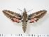 ( - BC-Hax2591)  @14 [ ] Copyright (2010) Unspecified Research Collection of Jean Haxaire