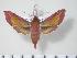  ( - BC-Hax2675)  @14 [ ] Copyright (2010) Unspecified Research Collection of Jean Haxaire