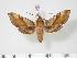  ( - BC-Hax2695)  @15 [ ] Copyright (2010) Unspecified Research Collection of Jean Haxaire