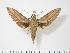  ( - BC-Hax2698)  @14 [ ] Copyright (2010) Unspecified Research Collection of Jean Haxaire