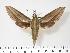  ( - BC-Hax2700)  @14 [ ] Copyright (2010) Unspecified Research Collection of Jean Haxaire