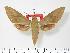  ( - BC-Hax2727)  @14 [ ] Copyright (2010) Unspecified Research Collection of Jean Haxaire