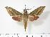  ( - BC-Hax2756)  @14 [ ] Copyright (2010) Unspecified Research Collection of Jean Haxaire