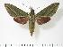  ( - BC-Hax2759)  @14 [ ] Copyright (2010) Unspecified Research Collection of Jean Haxaire