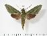  ( - BC-Hax2760)  @14 [ ] Copyright (2010) Unspecified Research Collection of Jean Haxaire