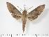  ( - BC-Hax2770)  @15 [ ] Copyright (2010) Unspecified Research Collection of Jean Haxaire