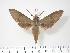  ( - BC-Hax2773)  @14 [ ] Copyright (2010) Unspecified Research Collection of Jean Haxaire