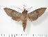  ( - BC-Hax2775)  @15 [ ] Copyright (2010) Unspecified Research Collection of Jean Haxaire