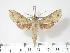  ( - BC-Hax2796)  @14 [ ] Copyright (2010) Unspecified Research Collection of Jean Haxaire