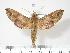  ( - BC-Hax2798)  @14 [ ] Copyright (2010) Unspecified Research Collection of Jean Haxaire
