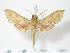  ( - BC-Hax2799)  @14 [ ] Copyright (2010) Unspecified Research Collection of Jean Haxaire