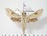  ( - BC-Hax2801)  @14 [ ] Copyright (2010) Unspecified Research Collection of Jean Haxaire