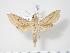  ( - BC-Hax2802)  @14 [ ] Copyright (2010) Unspecified Research Collection of Jean Haxaire