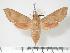  ( - BC-Hax2807)  @14 [ ] Copyright (2010) Unspecified Research Collection of Jean Haxaire
