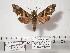  ( - BC-Mel0084)  @14 [ ] Copyright (2010) Unspecified Research Collection of Tomas Melichar