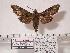  ( - BC-Mel0085)  @14 [ ] Copyright (2010) Unspecified Research Collection of Tomas Melichar