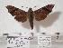  ( - BC-Mel0086)  @14 [ ] Copyright (2010) Unspecified Research Collection of Tomas Melichar