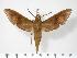  ( - BC-Hax2900)  @14 [ ] Copyright (2010) Unspecified Research Collection of Jean Haxaire