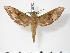  ( - BC-Hax2903)  @14 [ ] Copyright (2010) Unspecified Research Collection of Jean Haxaire