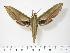  ( - BC-Hax2922)  @14 [ ] Copyright (2010) Unspecified Research Collection of Jean Haxaire