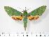  ( - BC-Hax2929)  @14 [ ] Copyright (2010) Unspecified Research Collection of Jean Haxaire