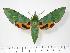  ( - BC-Hax2930)  @14 [ ] Copyright (2010) Unspecified Research Collection of Jean Haxaire