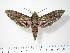  ( - BC-Hax2998)  @14 [ ] Copyright (2010) Unspecified Research Collection of Jean Haxaire