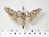  ( - BC-Hax3027)  @14 [ ] Copyright (2010) Unspecified Research Collection of Jean Haxaire