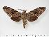  ( - BC-Hax3080)  @14 [ ] Copyright (2010) Unspecified Research Collection of Jean Haxaire