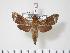  ( - BC-Hax3147)  @14 [ ] Copyright (2010) Unspecified Research Collection of Jean Haxaire