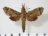  ( - BC-Hax3148)  @13 [ ] Copyright (2010) Unspecified Research Collection of Jean Haxaire