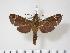  ( - BC-Hax3150)  @14 [ ] Copyright (2010) Unspecified Research Collection of Jean Haxaire