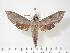  ( - BC-Hax3164)  @14 [ ] Copyright (2010) Unspecified Research Collection of Jean Haxaire