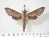  ( - BC-Hax3165)  @13 [ ] Copyright (2010) Unspecified Research Collection of Jean Haxaire