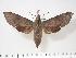  ( - BC-Hax3166)  @14 [ ] Copyright (2010) Unspecified Research Collection of Jean Haxaire