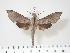  ( - BC-Hax3167)  @14 [ ] Copyright (2010) Unspecified Research Collection of Jean Haxaire
