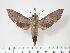  ( - BC-Hax3168)  @14 [ ] Copyright (2010) Unspecified Research Collection of Jean Haxaire