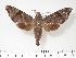  ( - BC-Hax3344)  @12 [ ] Copyright (2010) Unspecified Research Collection of Jean Haxaire